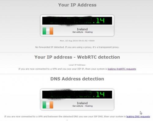 2016-08-22 IP_DNS Detect.jpg